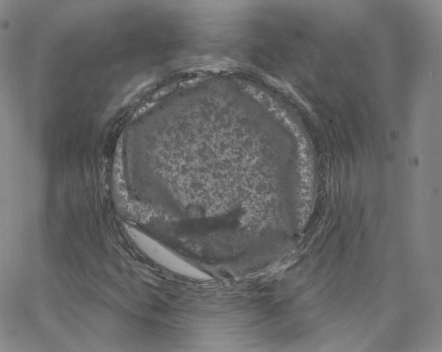 X0000065261399200603131151