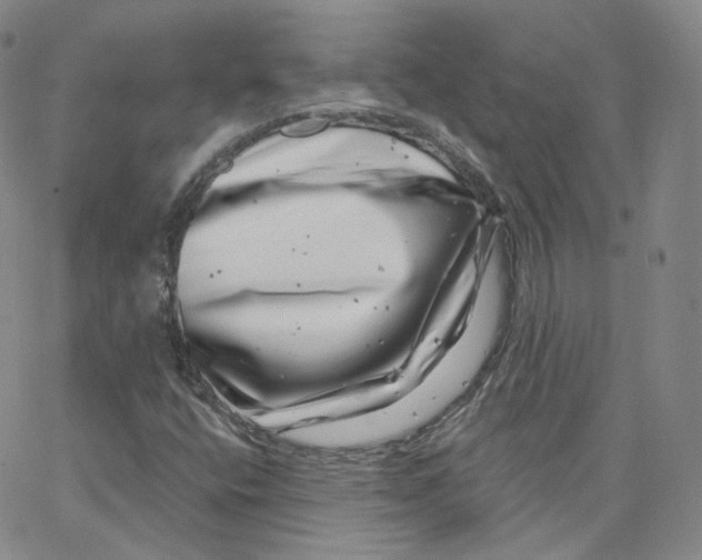 X0000065261400200603131151