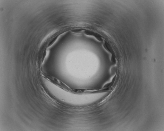 X0000065261402200603131151