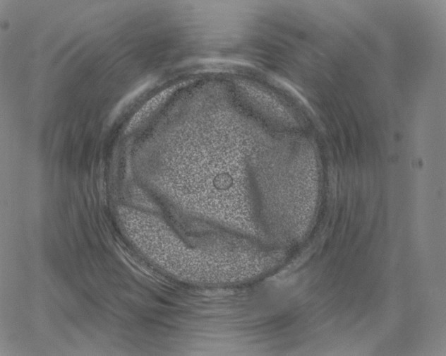 X0000065261403200603131151