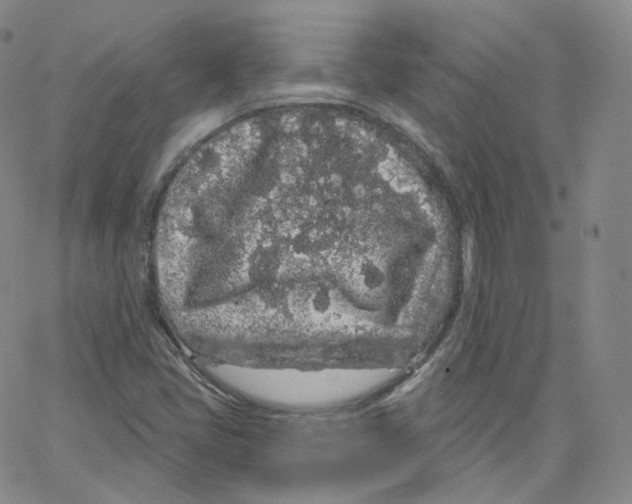 X0000065261405200603131151