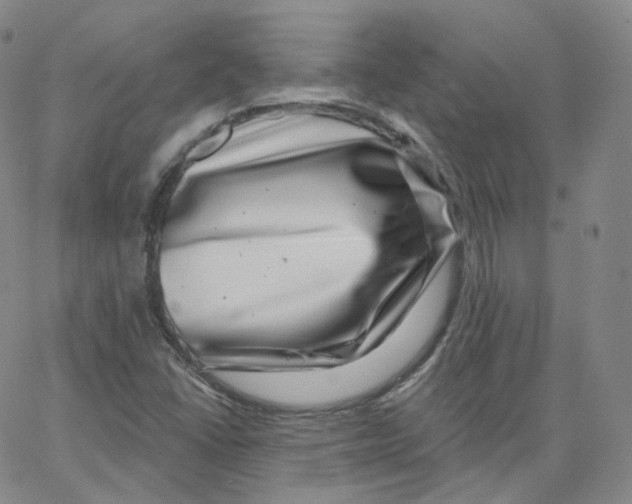 X0000065261406200603131151