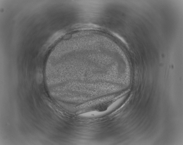 X0000065261407200603131151