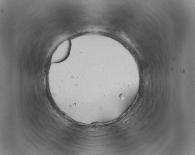 X0000065261408200603131151