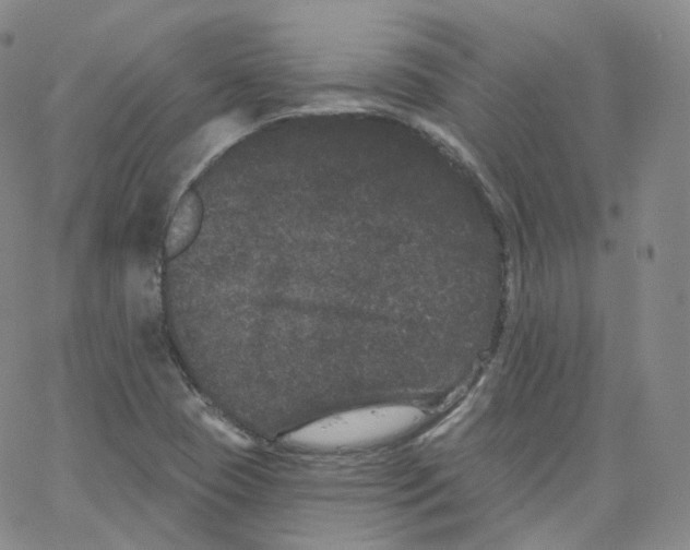 X0000065261409200603131151