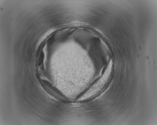 X0000065261410200603131151