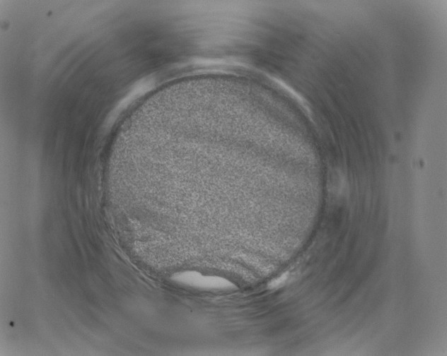 X0000065261411200603131151