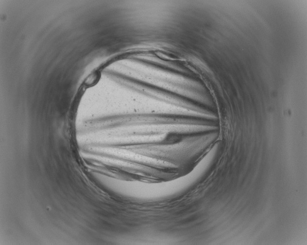 X0000065261412200603131151