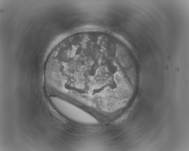 X0000065261413200603131151