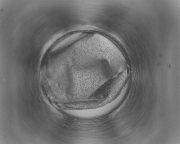 X0000065261414200603131151