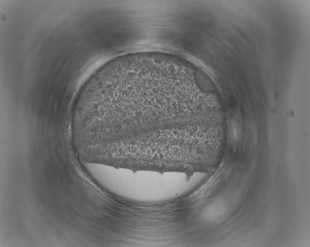 X0000065261415200603131151