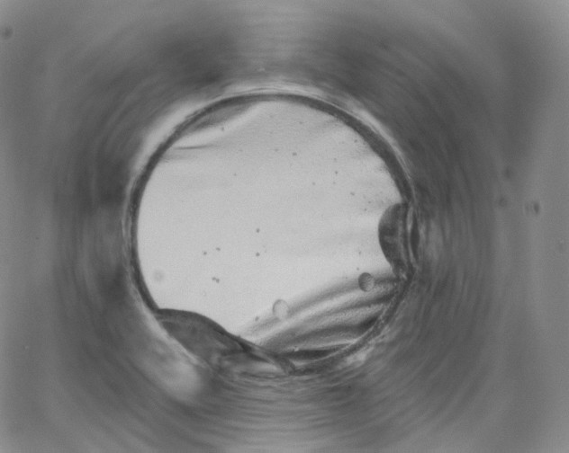 X0000065261416200603131151