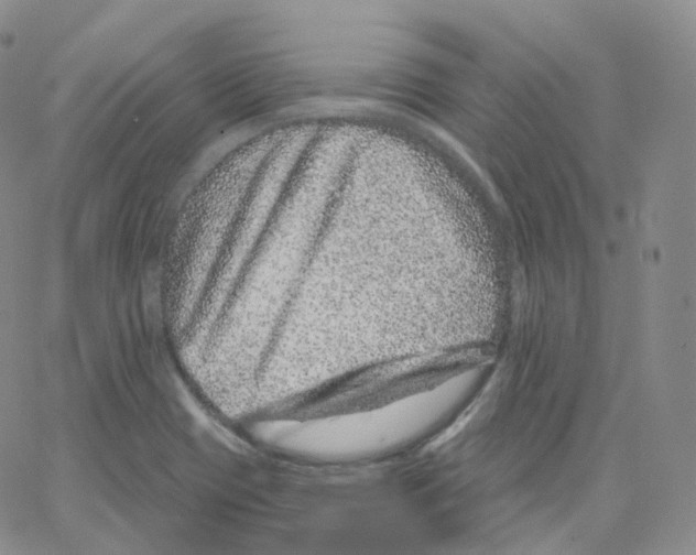 X0000065261417200603131151