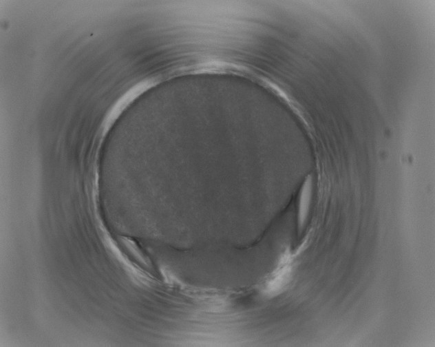 X0000065261418200603131151