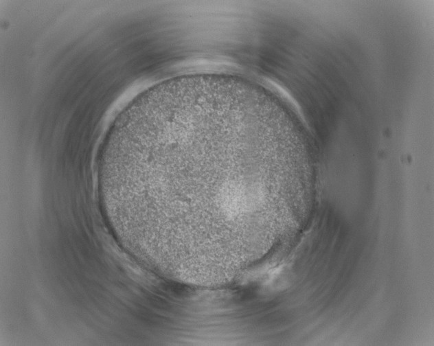 X0000065261419200603131151