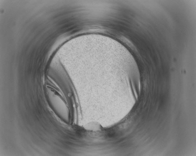 X0000065261420200603131151