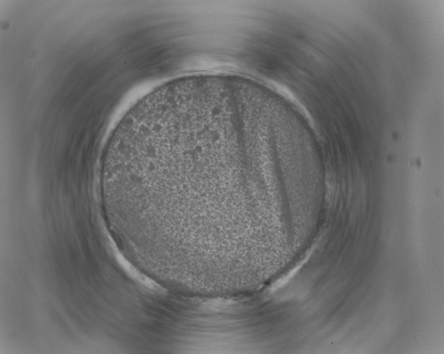 X0000065261421200603131151