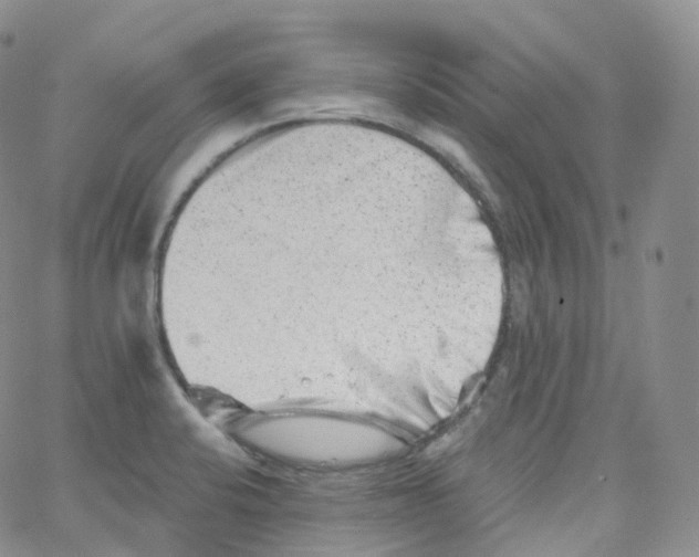 X0000065261424200603131151