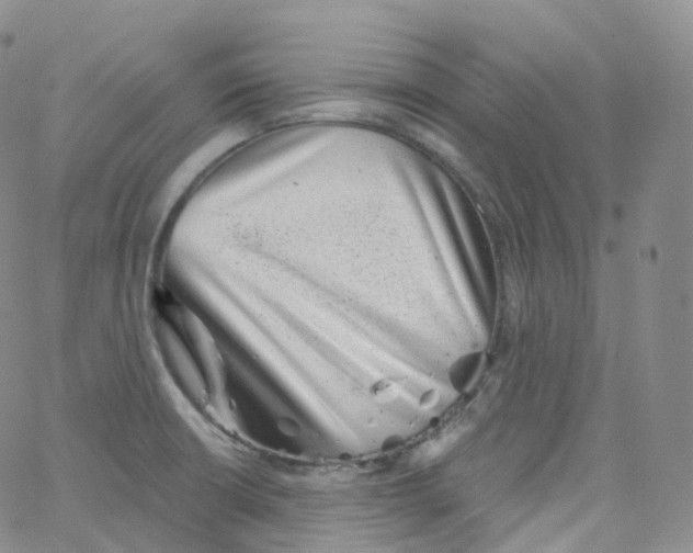 X0000065261426200603131151