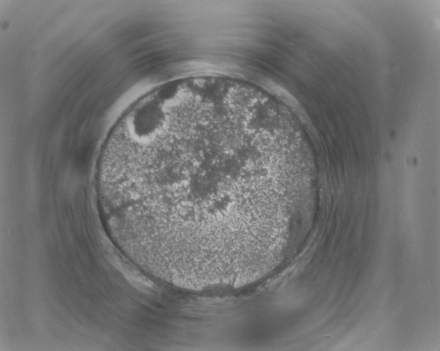 X0000065261427200603131151