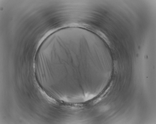 X0000065261428200603131151