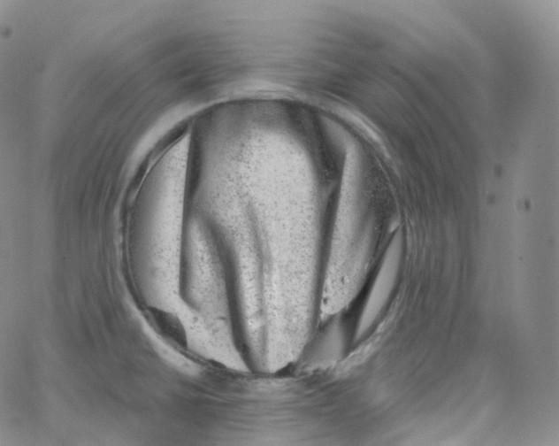 X0000065261430200603131151