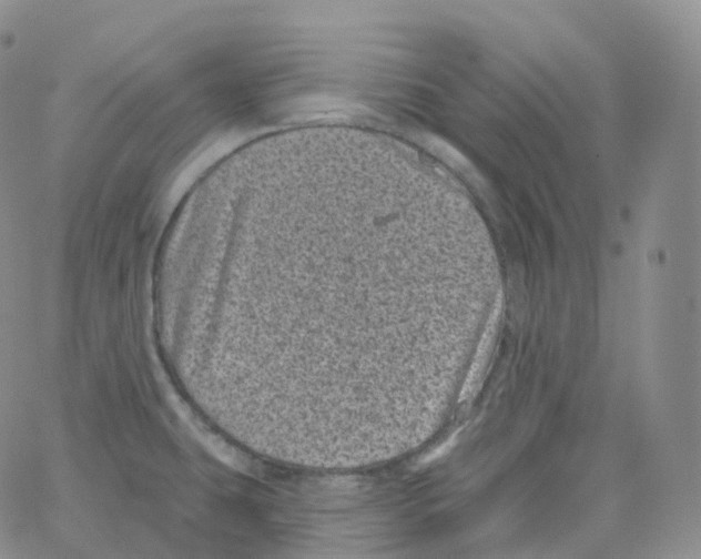 X0000065261431200603131151