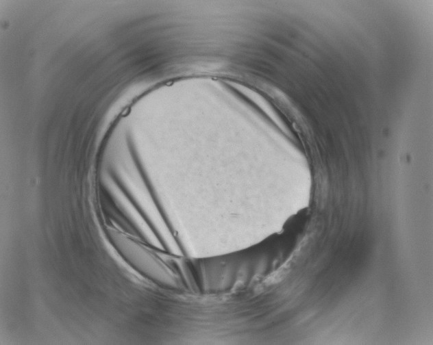 X0000065261432200603131151