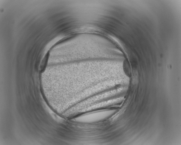 X0000065261434200603131151