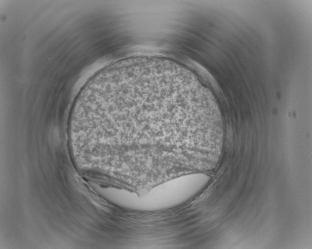 X0000065261435200603131151