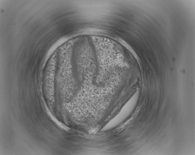 X0000065261437200603131151