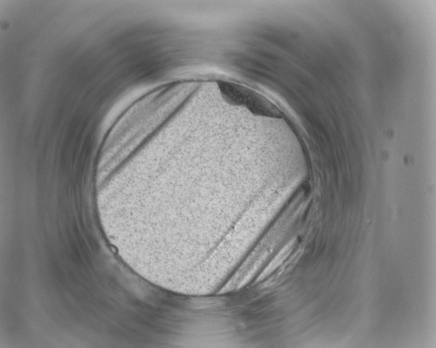 X0000065261440200603131151