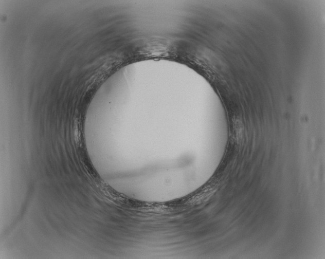 X0000065261442200603131151