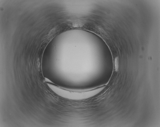 X0000065261443200603131151