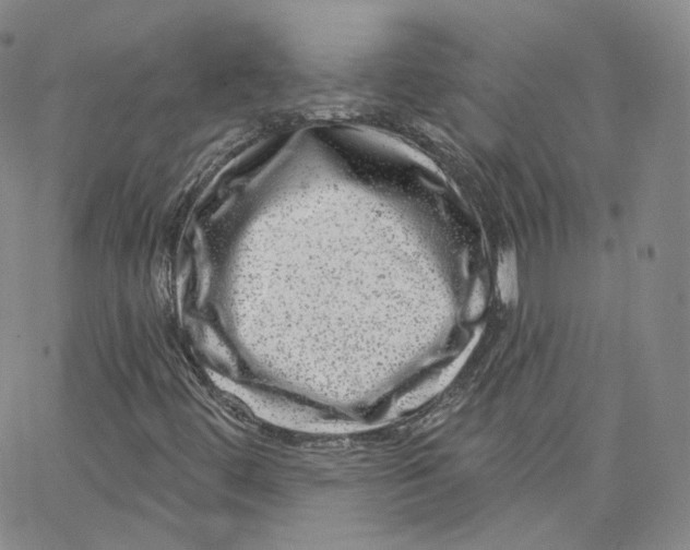 X0000065261444200603131151