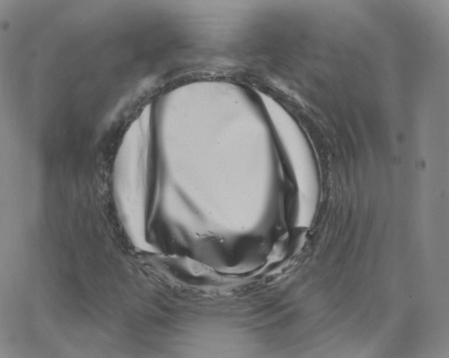 X0000065261447200603131150