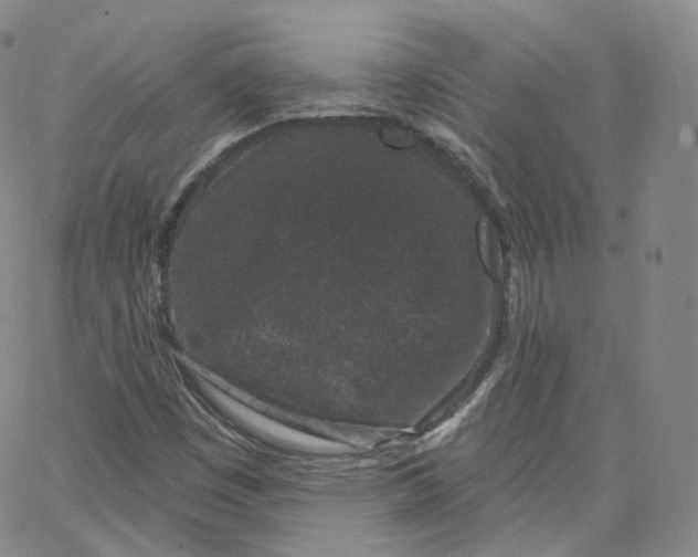 X0000065261449200603131150