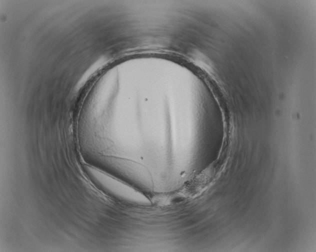 X0000065261450200603131150