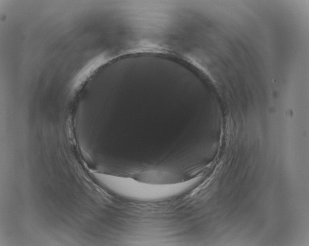 X0000065261455200603131150