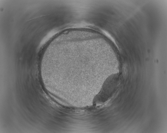 X0000065261456200603131150