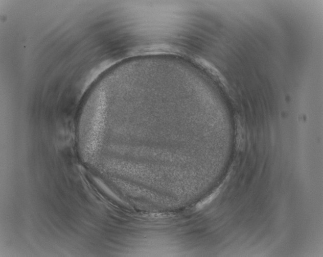 X0000065261457200603131150