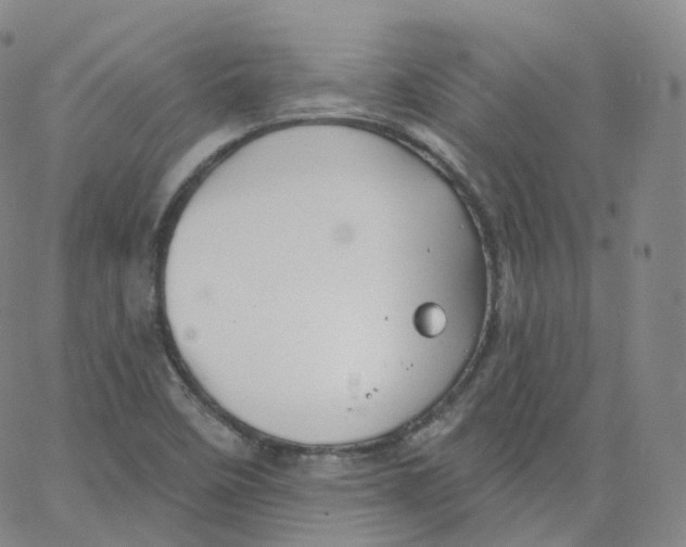 X0000065261458200603131150