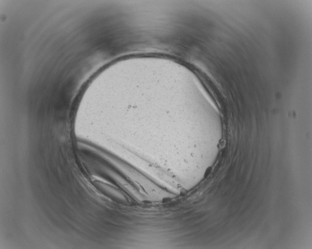 X0000065261460200603131150