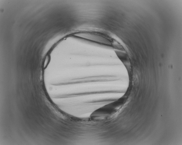 X0000065261461200603131150