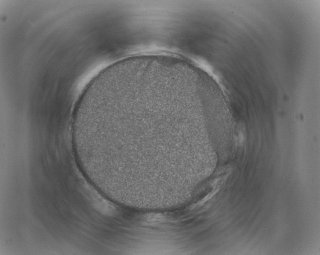 X0000065261463200603131150