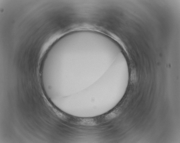 X0000065261464200603131150