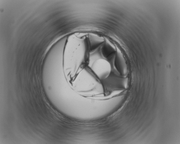 X0000065261465200603131150