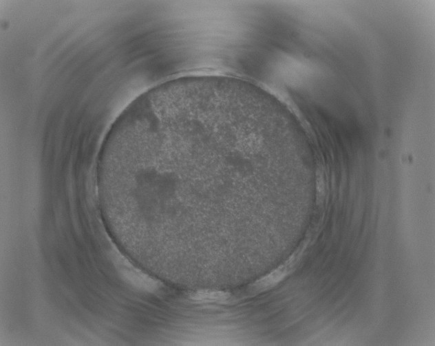 X0000065261466200603131150