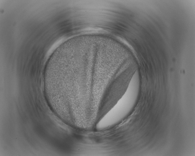 X0000065261467200603131150