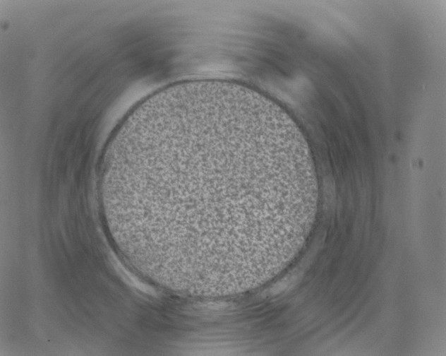 X0000065261470200603131150